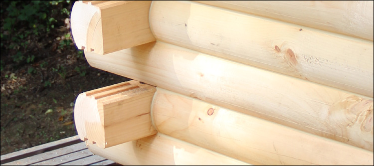 Log Home Damage Repair 